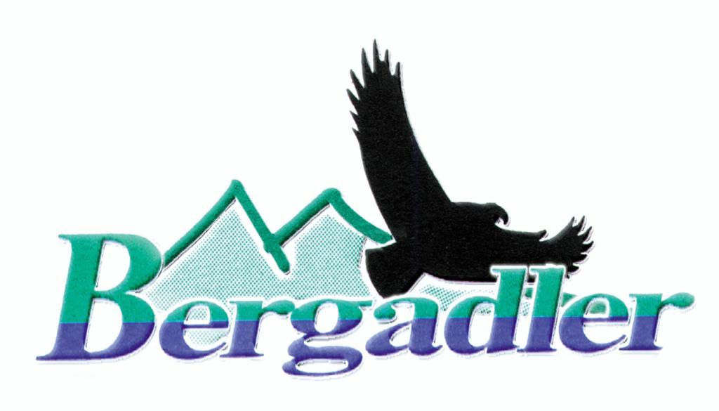 Bergadler Apartment Iselsberg-Stronach Ruang foto